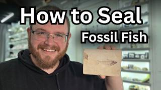 How To Seal Fossil Fish