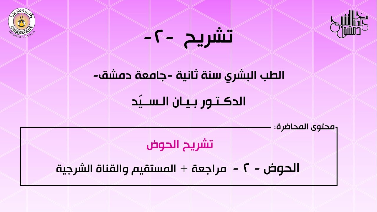 تشريح 2 | الحوض 2 | مراجعة + المستقيم والقناة الشرجية | د.بيان السيد