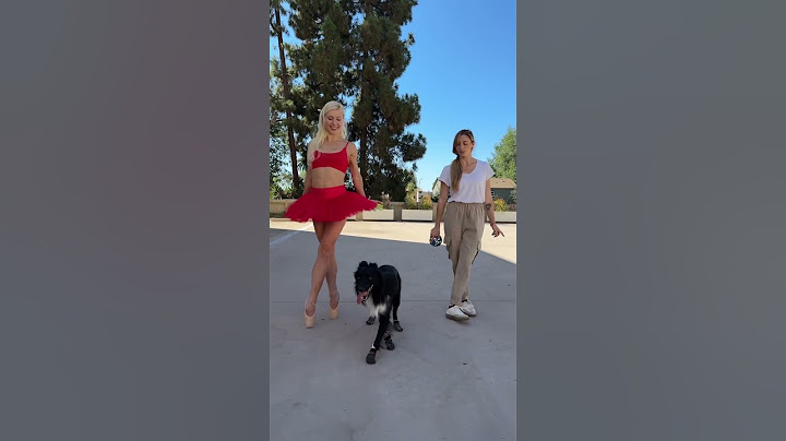 Dance stepping with Roni Sagi & Rhythm! 💃🐕🐾❤️ #dancers #agt #rhythm #ballerina #doglover