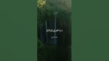 رَبِّ اغْفِرْ لِي وَلِوَالِدَيَّ || سورة نوح || علي جابر