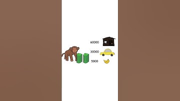 Monkey Economics Just Print More! - Inflation