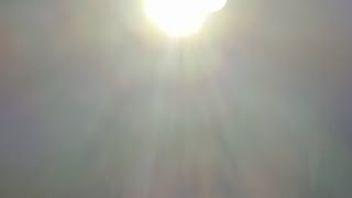 СТРИМ ИЗ ЛЕСА ЧЕРНОБЫЛЯ