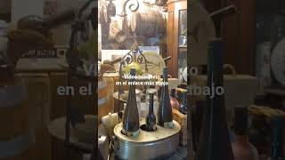 El Pazo Quinteiro da Cruz y Ribadumia #galicia #turismogalicia #camelia #senderismogalicia #vino