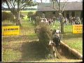 Best ever aussie horse crashes Werribee park, CRIKEY