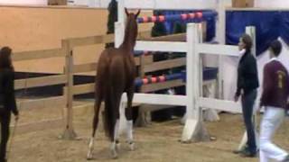 Download Lagu Archie Vorauswahl MP3