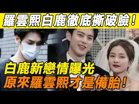 緋聞戀情剛消停，白鹿羅雲熙有被頂上熱搜》兩人同天官宣喜訊，卻惹雙方粉絲深夜互撕！ 大粉徹底破防突爆猛料，原來我們都被騙了！#白鹿#羅雲熙#王鶴棣#長月燼明