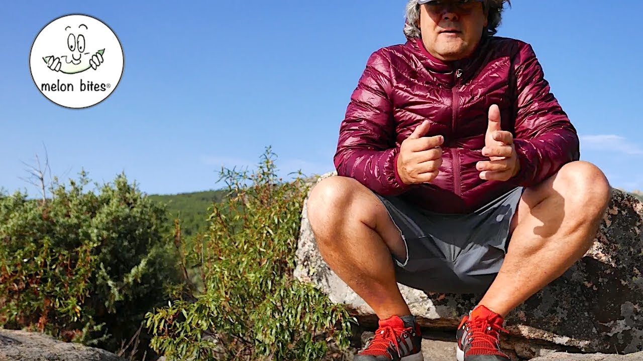 Ropa Para Hiking Online, 56% OFF | www.ingeniovirtual.com