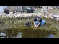 How To Spring Clean Your Pond