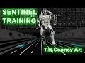 Sentinel Training - T.H.Cooney Art