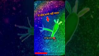Hydra जो कभी नहीं मरता #shortsfeed #ytshorts #mysterious #factsinhindi