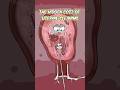 What Uterine Cleaning Really Does to Your Body