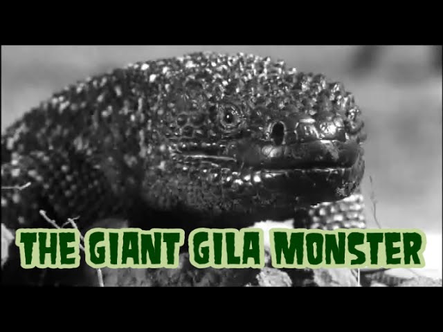 The Giant Gila Monster - horror movie 1959 (widescreen, complete)