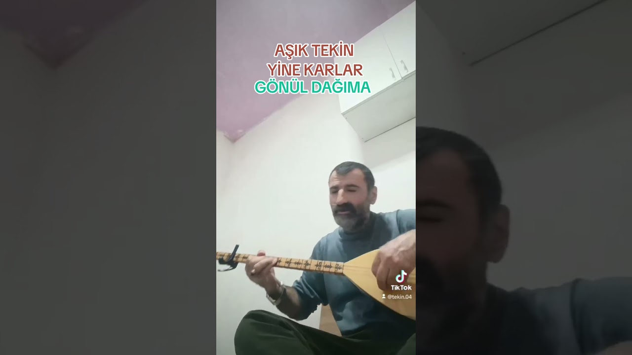 Tekin kızılkula yine karlar yağdı gönül dağıma 