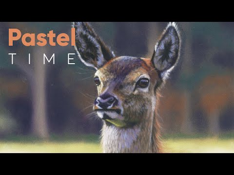 Red Deer Young Fawn in Soft Pastel - Timelapse