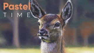Red Deer Young Fawn in Soft Pastel - Timelapse screenshot 4