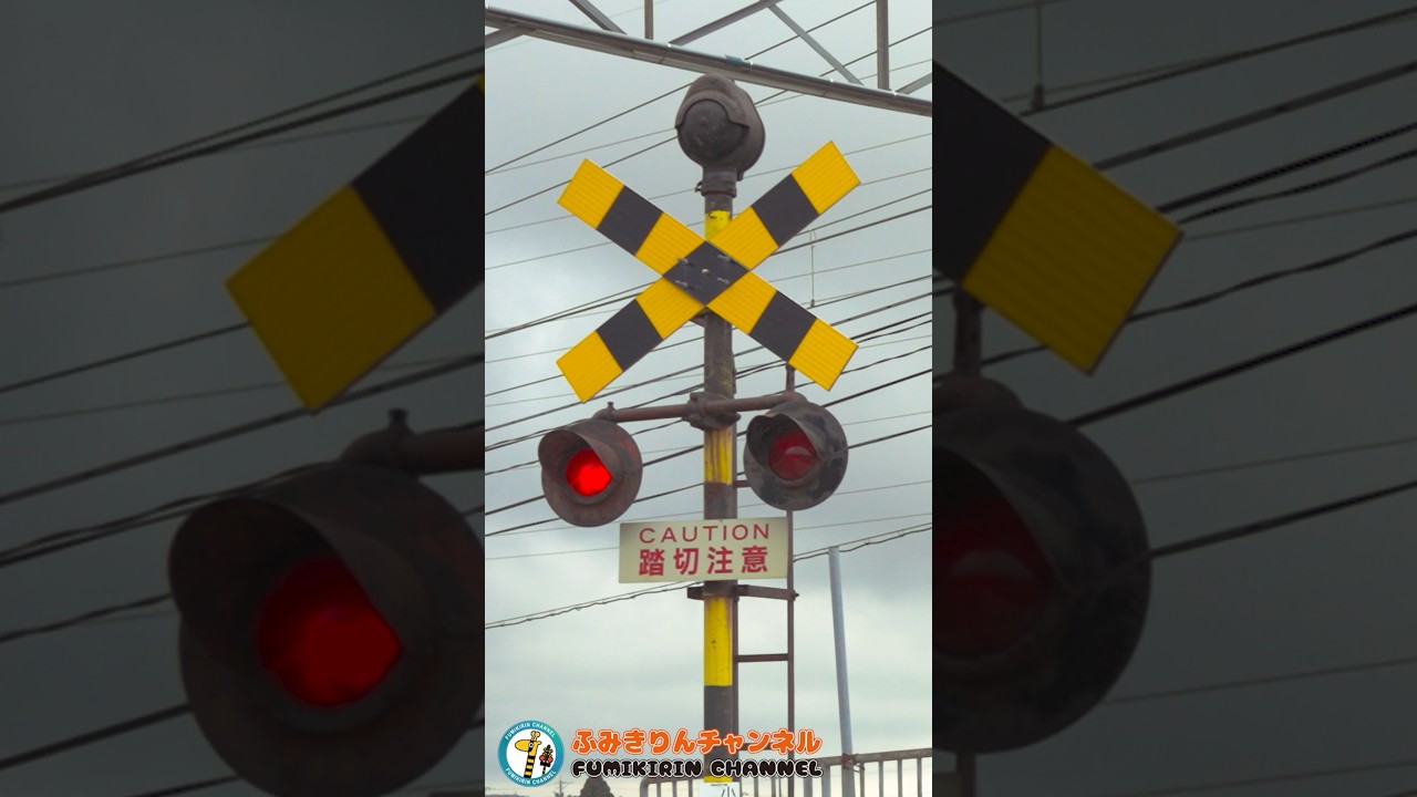 【踏切 電車】なにが通るかな???【ふみきりショート動画292】 #shorts