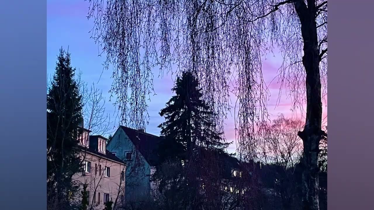 Goodnight, Fireball 👋🏻