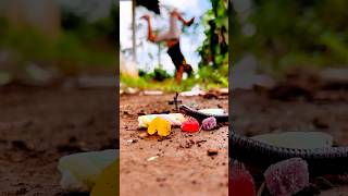 Wow Trying To Be A Tarzan Who Can Call And Communicate With Millipedes