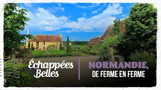 Échappées belles - Normandie, de ferme en ferme