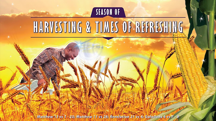 13/07/2025 HARARE LIVE SERVICE