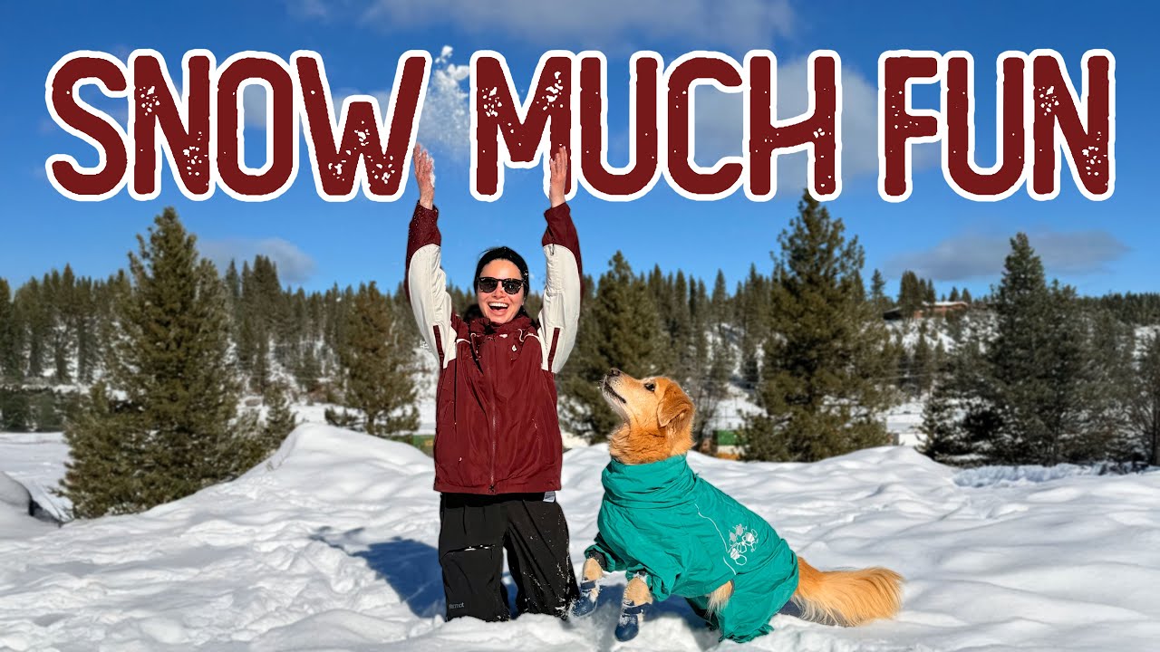 Taking my dog to see SNOW! (Donner Lake Vlog)