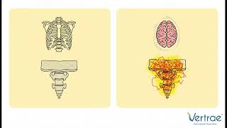 How Doctors Know If Your Back Pain Is a Fracture | Dr. Kamal Woods | Vertrae® Dayton