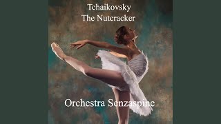 Overture (feat. Tommaso Ussardi)