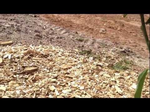 Pecan Bayou Fruit Orchard