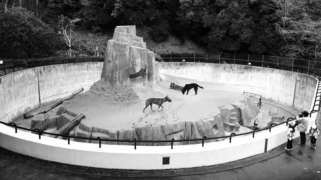 2016 Prudential Eye Awards Robert Zhao - Best Emerging Artist using Photography