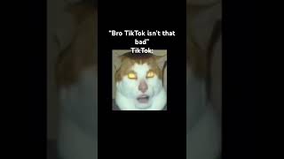 Tiktok Monent
