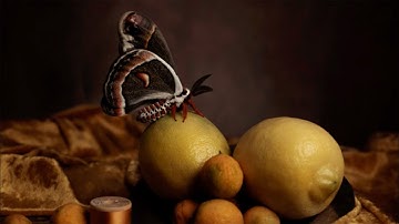 SCAD photography alumna Claire Rosen