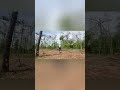Spider Survival: Kill or Be Killed #shorts