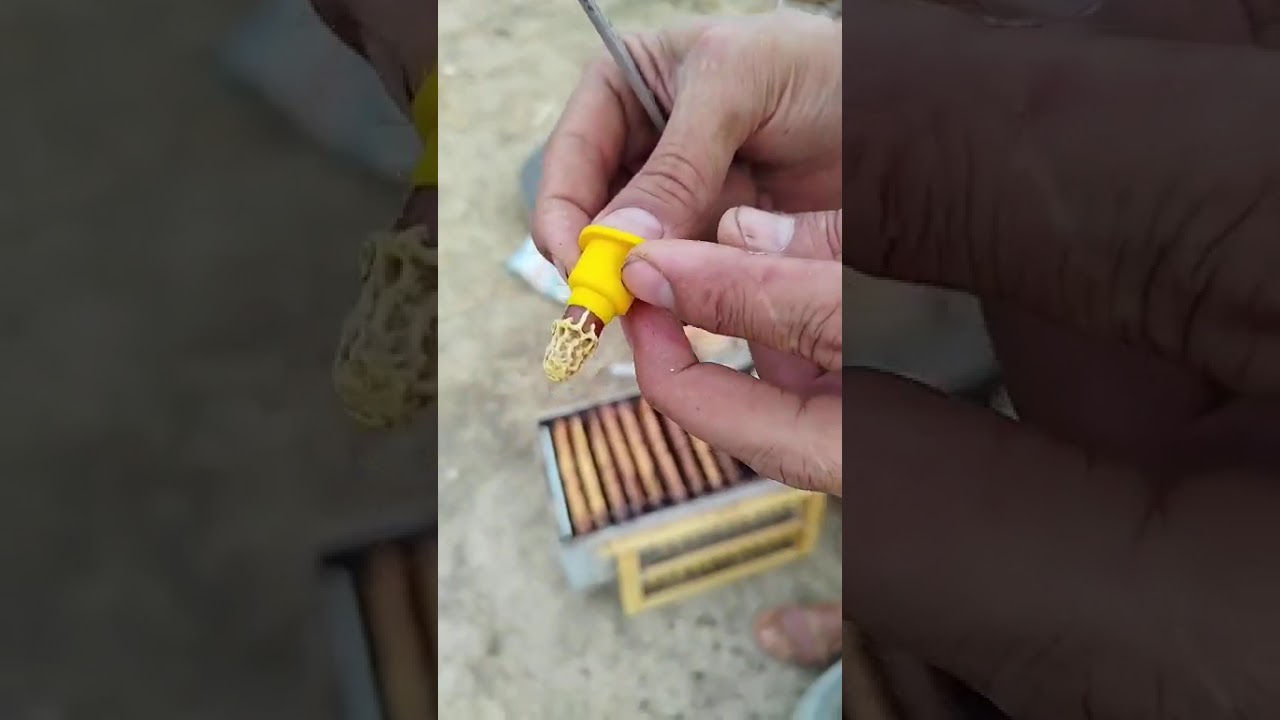 كيفية تحضير نويات التلقيح 