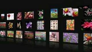 PicLens Tutorial screenshot 1