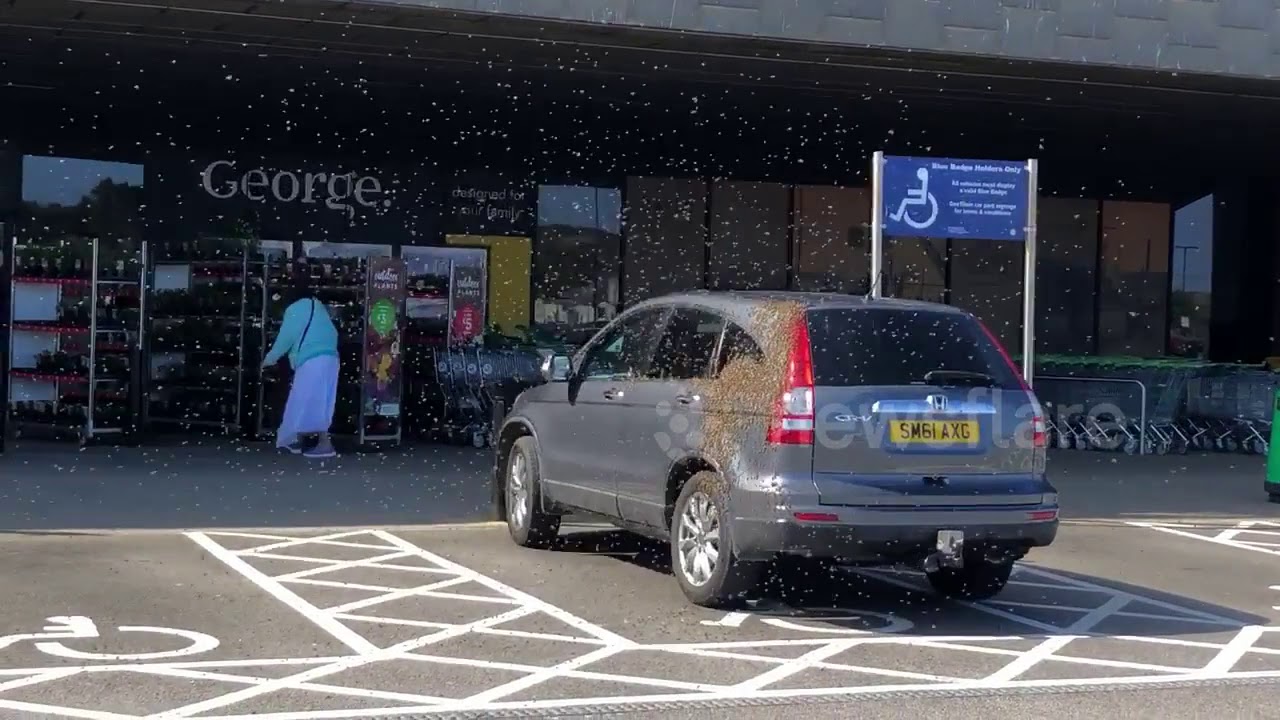 camera iphone 8 plus apk Parked Car Swarmed by Bees Outside UK Supermarket