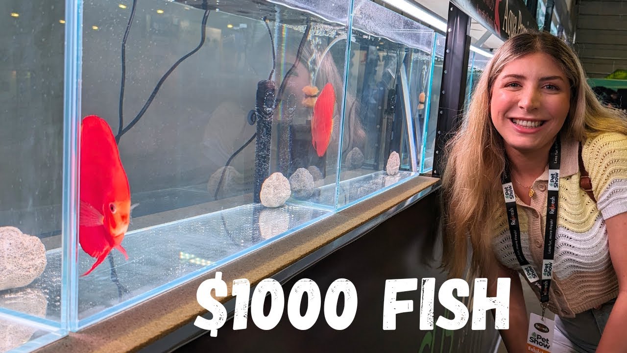 The MOST Incredible Aquarium Show (beautiful aquascapes, rare fish