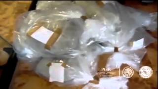 Yucatán - PGR consigna a una persona por acopio de especie marina en veda.