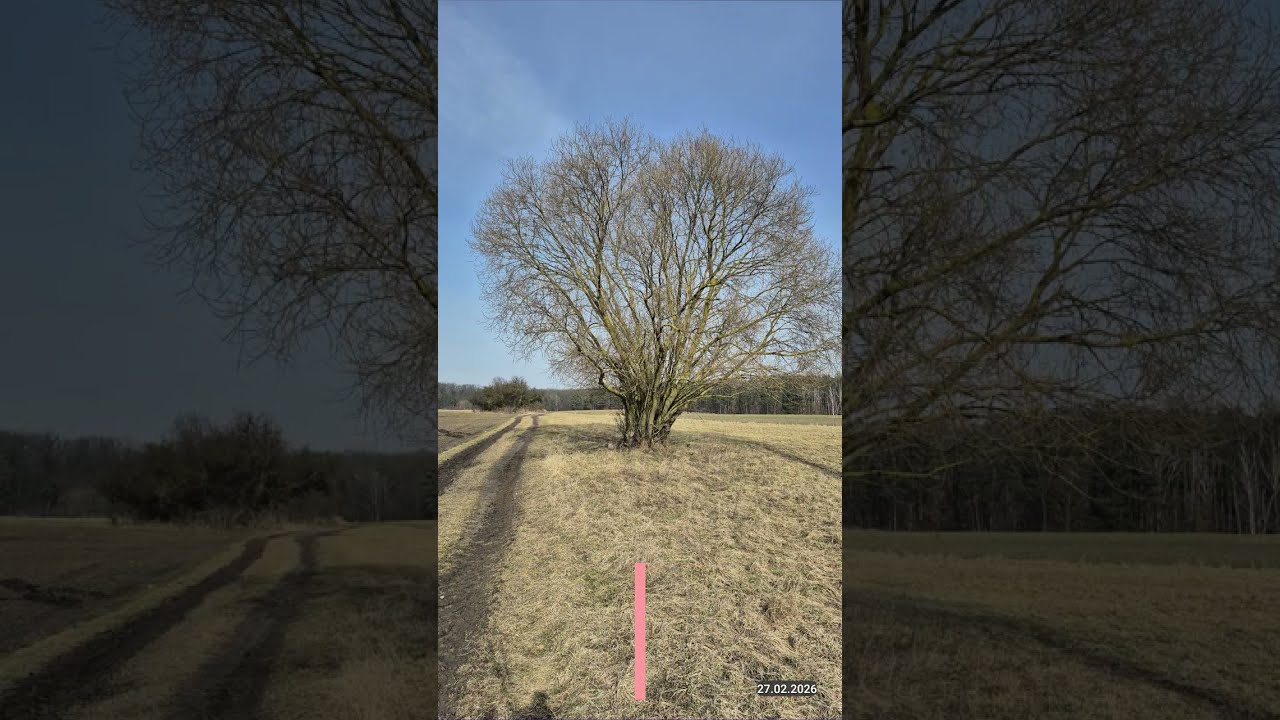 Przedwiośnie w Parku Krajobrazowym Promno    luty 2026