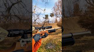 Download Lagu Kral Puncher Auto – Deadly Accurate Target Shooting #airrifleshooting #airguns MP3