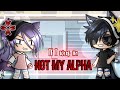 ✧If I was in “Not My Alpha”✧ || GLMM