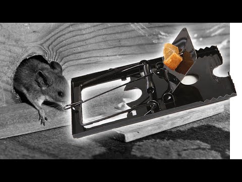 MT-03 MOUSE TRAP