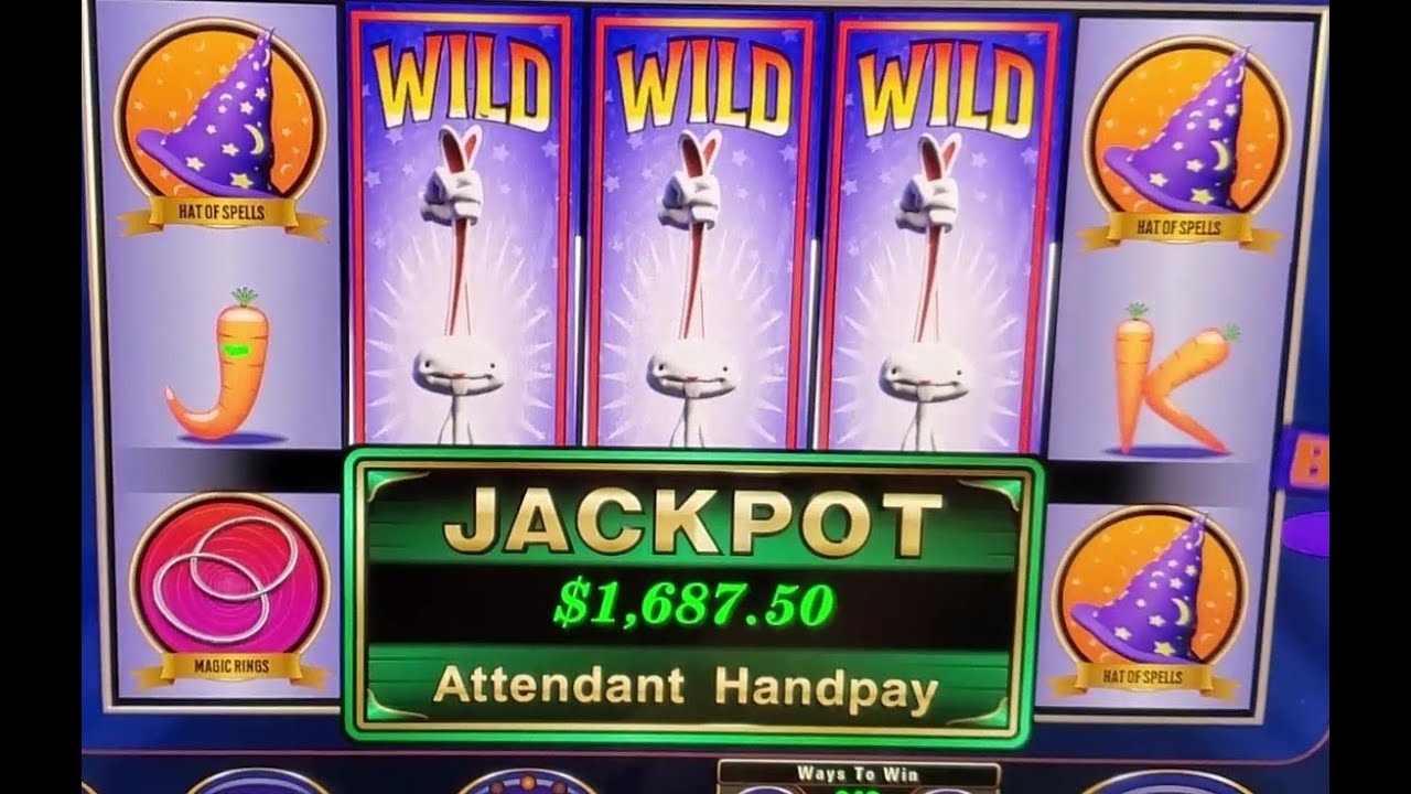 Jackpot Handpay! Crazy Cat Lady Slot Machine Bonus. Epic Day Part 4 # ...