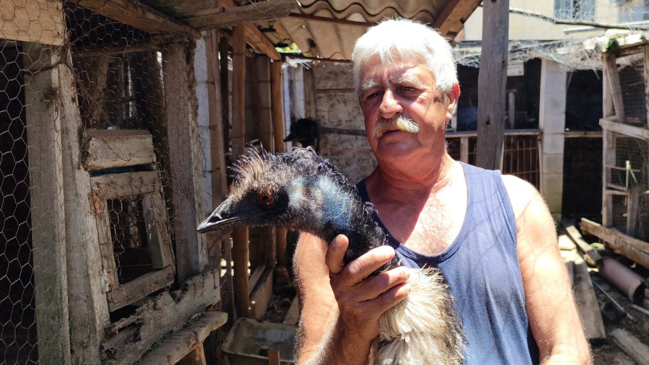 SR. ZÉ DE MELO E SUA PAIXÃO PELAS AVES ORNAMENTAIS.