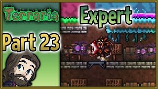 Terraria Expert Mode 1.3.5 Gameplay - Part 23 - Let's Play Walkthrough