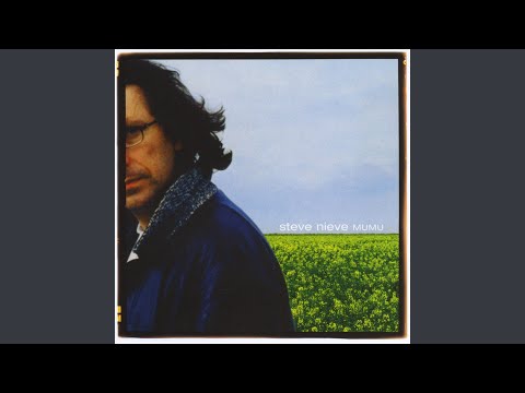 Steve Nieve — Cello