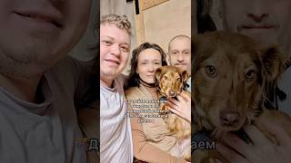 🥳Тыковка ДОМА🏡Она выжила в мясорубке, когда соседи ybuвали ее семью после cmertu хозяина😭