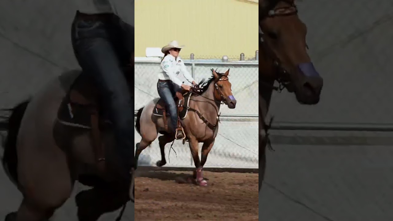 When barrel horses turn the jets on 🚀🤩 