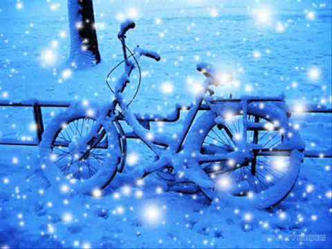 이미 나에게로(1995)