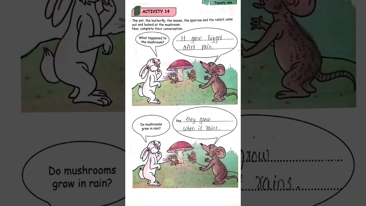 Class 2,Solved English activity book. Unit 1.An Umbrella for all