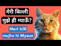 मेरी बिल्ली मुझे ही म्याऊँ । Meri billi mujhe hi Myaun | Artist Sudhir Singh-सुधीरा |